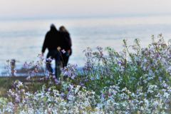 moonstone-beach-romantic-getaway