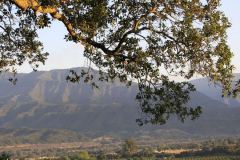 ojai-retreat-ojai-valley-california-about