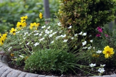 gardens-cloverdale-bb-inn